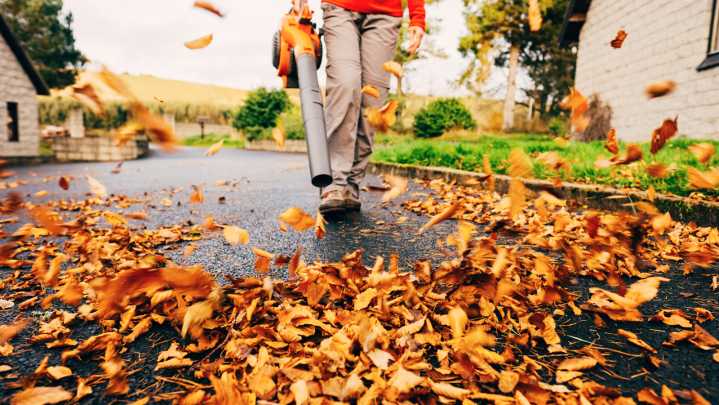 What Happens If The Leaves From Your Yard End Up In The Street