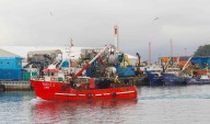 Gobierno impulsa cambios en Ley de Pesca: debate en Biobío ante límite de 10 años a licencias industriales