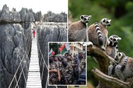 Urgent travel advisory for Madagascar due to protests, 'crime and unrest'