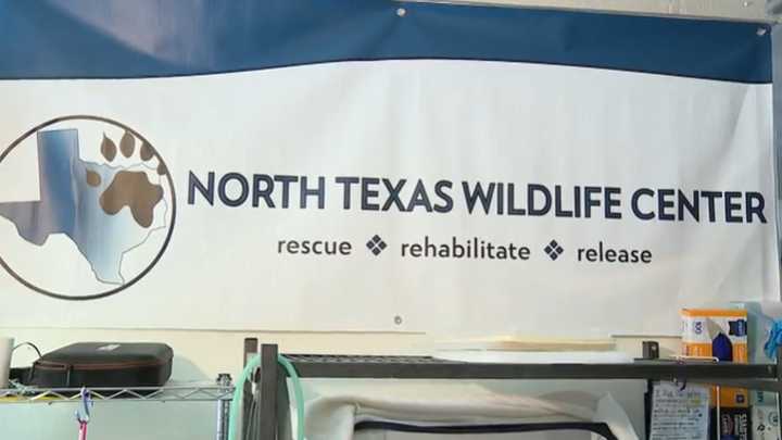 North Texas Wildlife Center gets new home in Plano