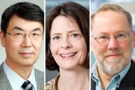 Nobel de Medicina 2025. Qué son las células T, las “guardias de seguridad” del sistema inmunológico