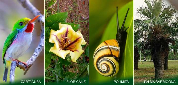 Colombia es el segundo país más biodiverso del mundo