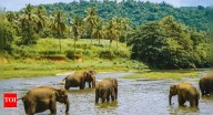 This Indian state has the highest elephant population in India