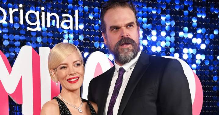 10 Lily Allen 'West End Girl' Lyrics About David Harbour Breakup