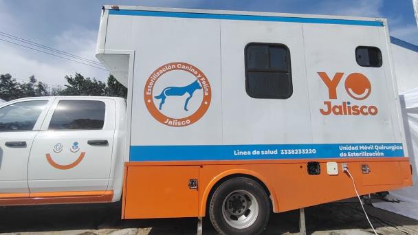 Arranca en Jalisco campaña gratuita de esterilización y vacunación para mascotas en octubre
