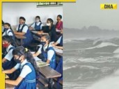 Cyclone Montha Update: These states have declared school holidays as cylone inte