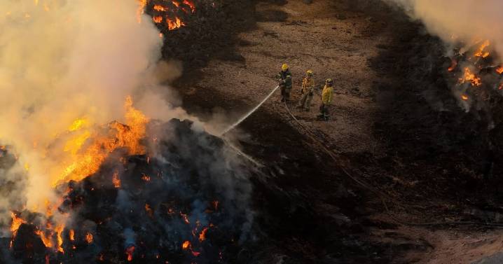 Se incendian 4 mil pacas de alfalfa en rancho de la Xochicali