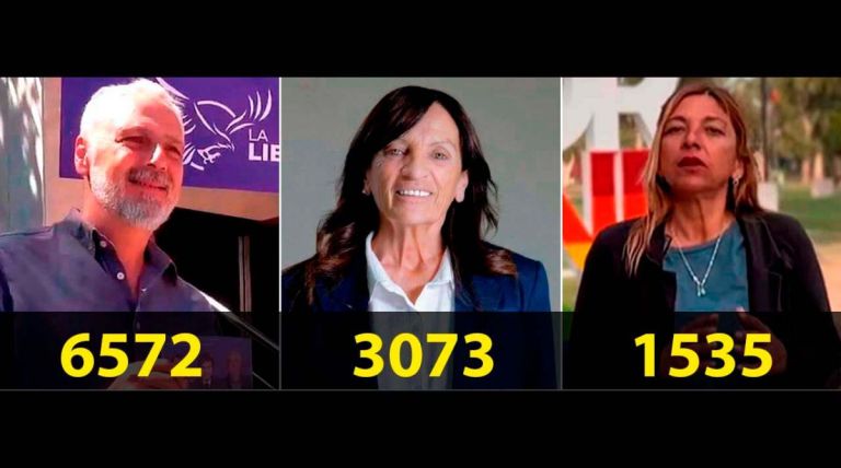 La Libertad Avanza arrasó en Villa de Merlo con más del 50% de los votos