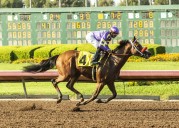 Man O Rose noses out Lovesick Blues at Santa Anita
