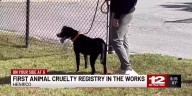First animal cruelty registry in the works
