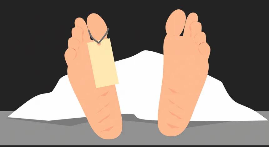 Body recovered in Kokernag forests, cause of death being ascertained: Officials