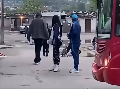 ES VIRAL| En Jujuy los perros atrapan a los ladrones