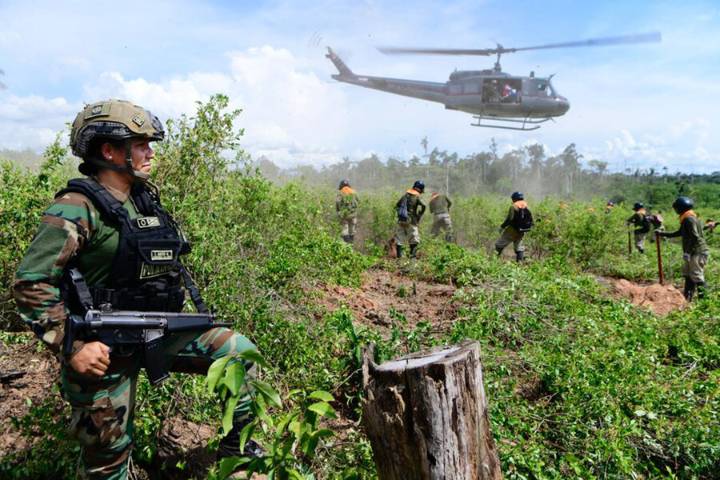 The best check on cocaine trafficking