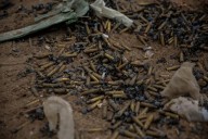 Gaza’s ‘perfect storm of hazards’ amid thousands of tonnes of unexploded bombs