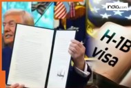 Trump's USD 100,000 H1-B visa fee BIG update, can it be scrapped? Faces first legal challenge in US court by..., Here's what you need to know