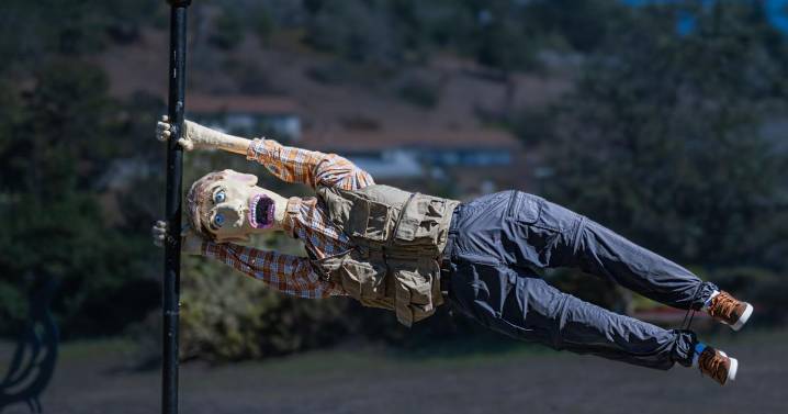 Clear skies, mild conditions give way to marine layer, rain next weekend