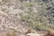 Encontraron restos humanos en el área del Zorrillo
