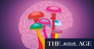 Magic mushrooms, MDMA therapy covered by private health in Brisbane first