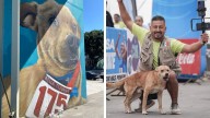 ¿Quién Era "El Chicles", Perro Corredor de Tijuana que Murió Presuntamente Envenenado?