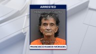 Man arrested for stabbing, killing woman after Bradenton car crash: police