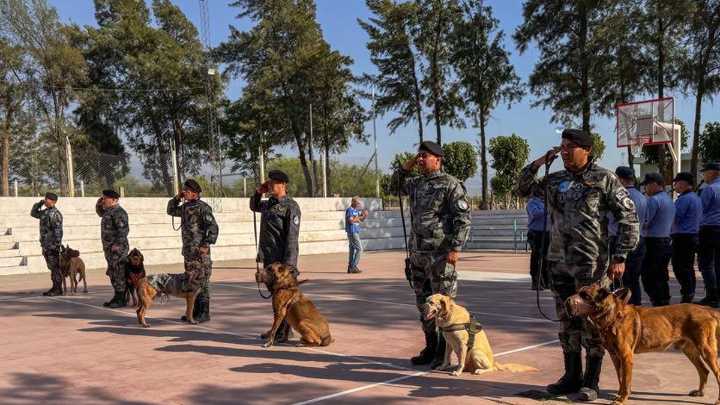 Despidieron con honores a perros policías que ya tienen su nuevo hogar