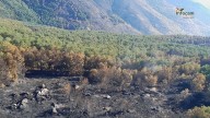 Controlado el incendio del Pico del Lobo tras 10 días y 900 efectivos movilizados