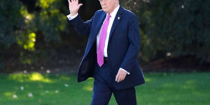 Trump's short-term aid 'during this little transition' turns into an automaker rebate running through 2030