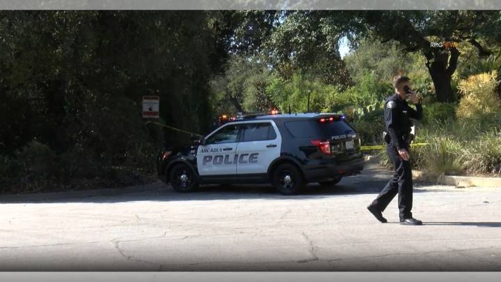 Armed home invaders tie up victims, steal jewelry and car from Arcadia home