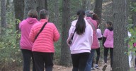 Herman High School students host fundraiser for breast cancer research