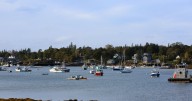 Coast Guard says it's abandoning effort to remove navigational buoys from Gulf of Maine