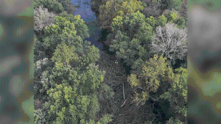 Missing Kansas deer hunter found on river log jam