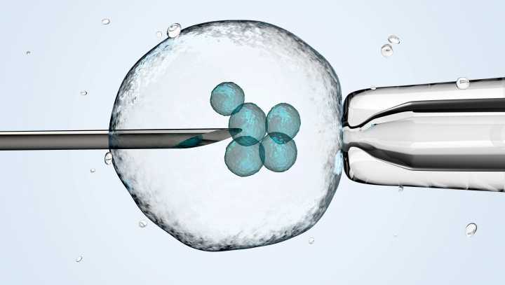 CNA Explains: What is the Catholic Church's position on IVF?