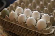 Check your eggs: Salmonella recall hits 2nd brand, warns of potential spread