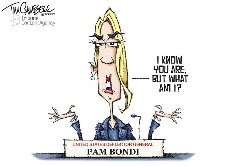 Cartoon: Totally tactful testimony