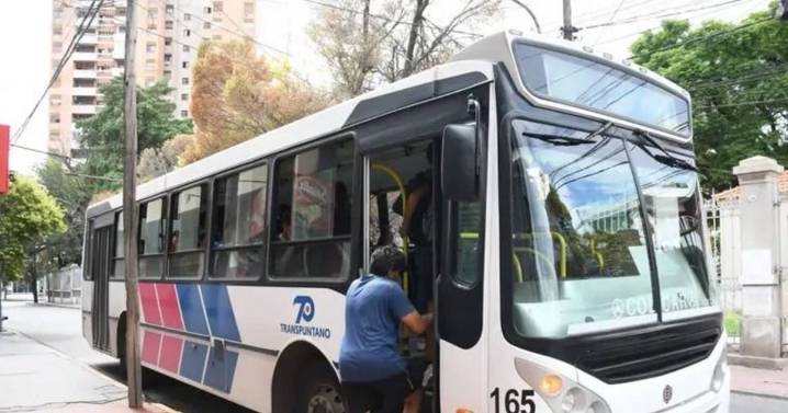 Transpuntano acumula un aumento que supera el 1.200% desde enero del 2024