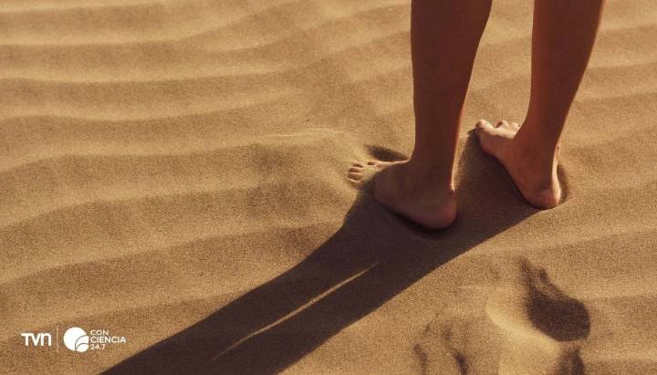 Pisando con ciencia: lo que revela la evidencia científica de entrenar descalzo