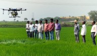 Bumper paddy harvest to come with serious challenges for Telangana farmers