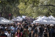Texans can apply to public colleges, universities ...