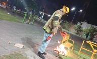 PUERTO VILELAS: Bomberos Intervinieron por la Presencia de Abejas en la Plaza Güemes