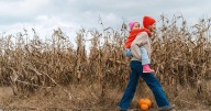 The corn maze craze and why we love getting lost every fall