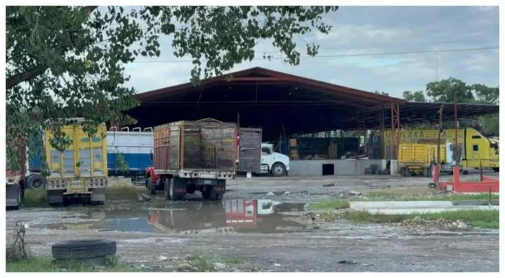 Matan a empresario citrícola en Veracruz; lo atacan a balazos en Álamo Temapache