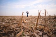 Ag loan defaults are up, aid programs also strained