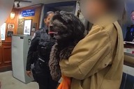 Moose the Dog Survives Scary Subway Train Encounter, Gets Rescued by the NYPD