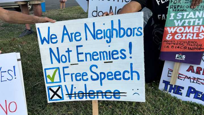 These 11 Louisiana cities to host anti-trump 'No Kings' protests Saturday