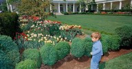 Jackie Kennedy’s Grandson Jack Schlossberg Slams Trump for Pouring Concrete Where She Planted Flowers