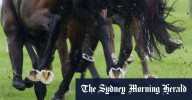 Southerly Buster ready to upset favourites at Newcastle