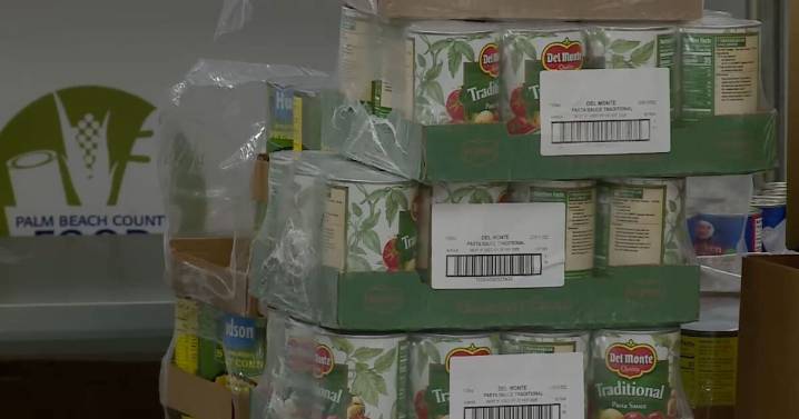 Florida Democrats call on Governor DeSantis to release funding for SNAP benefits