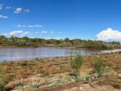 $8.6M bosque restoration project complete in the South Valley