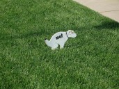 Here’s Why Doggy Doo Doo In Casper Is A Big Problem