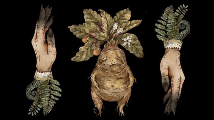 3 Witch Folklore Potions That Have Real Power